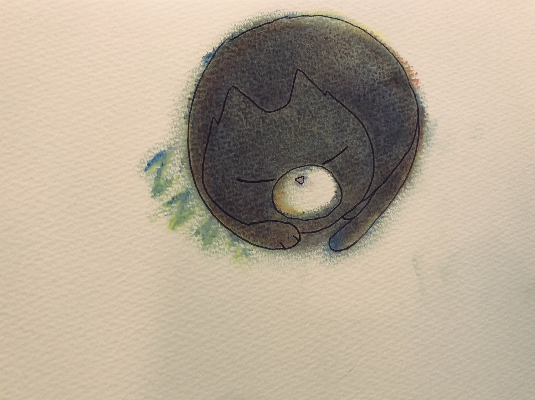 ニャンモナイトになってすやすや寝てるバット