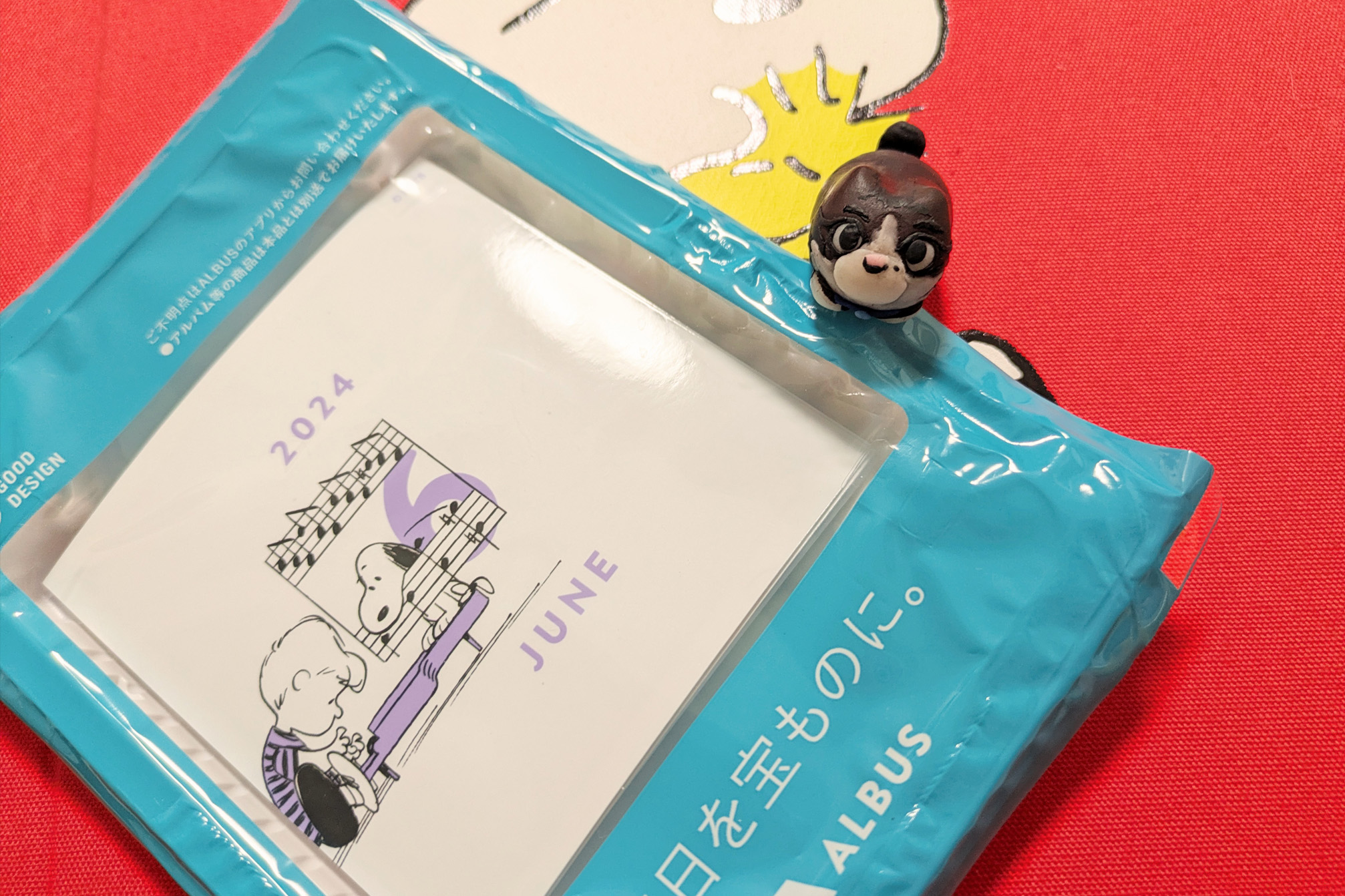 アルバムに入れる写真とハニーとモータ