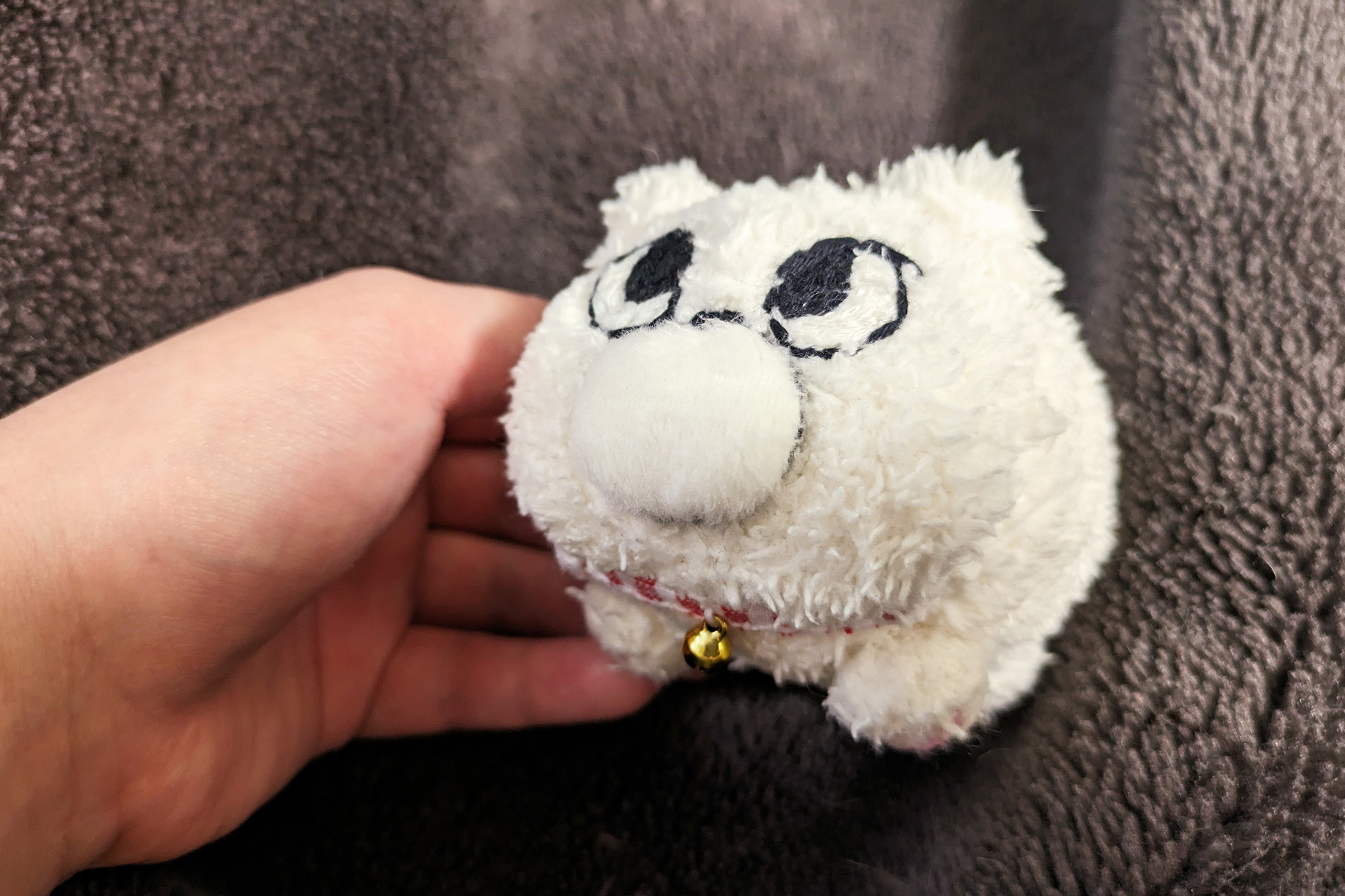 首輪を着けてもらうマリー