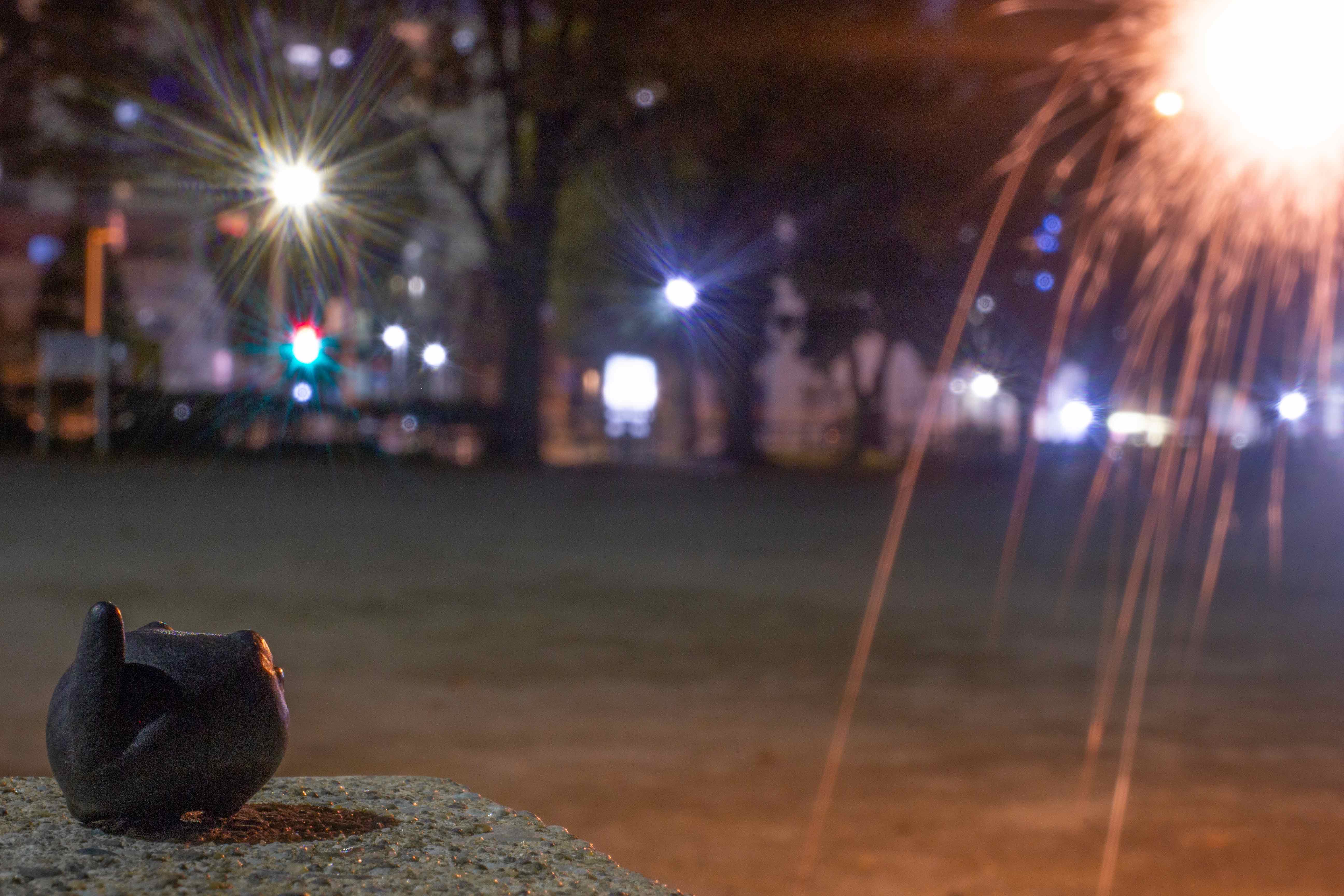 冬の花火を見るバット