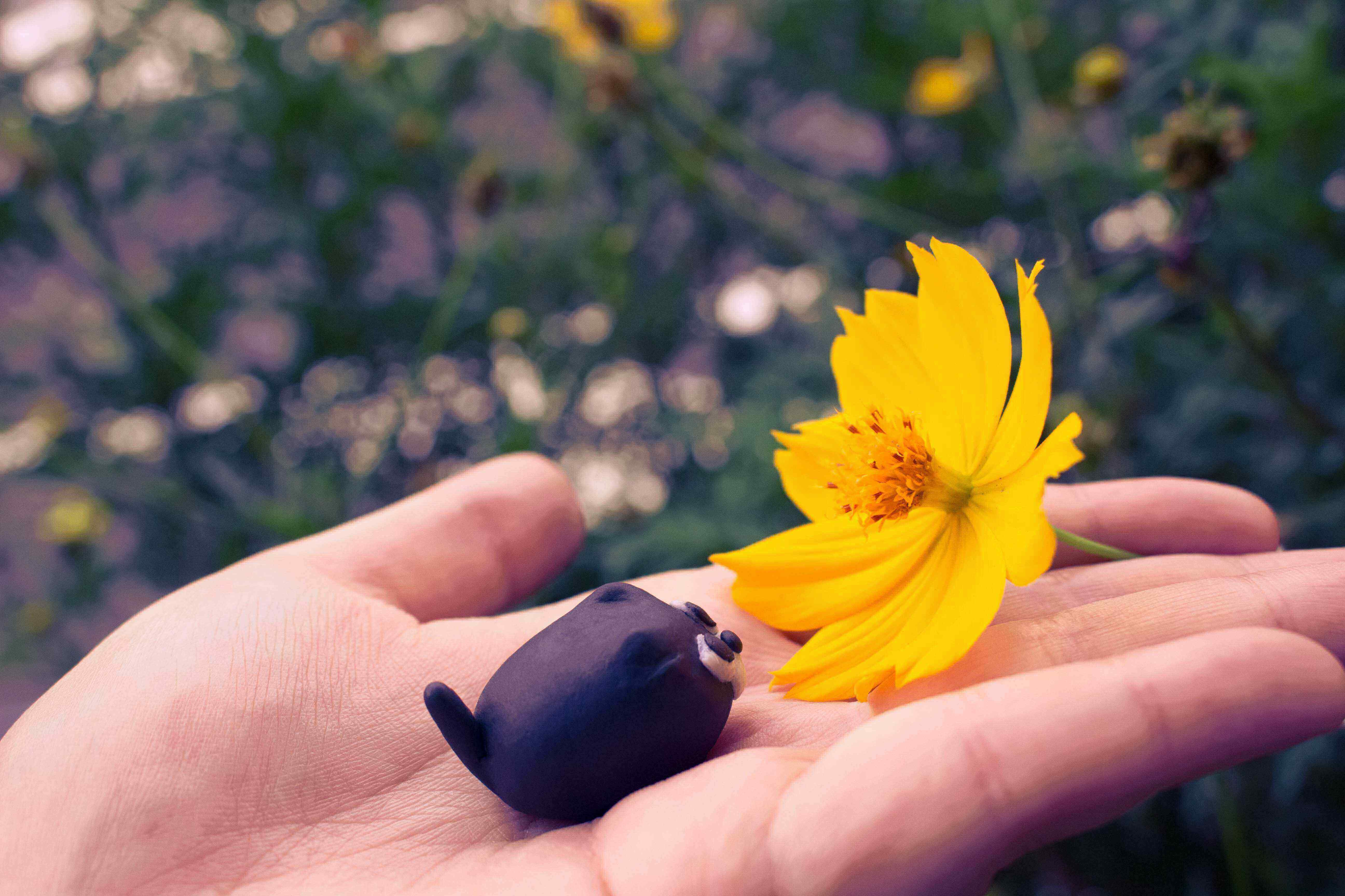 花を知るバット