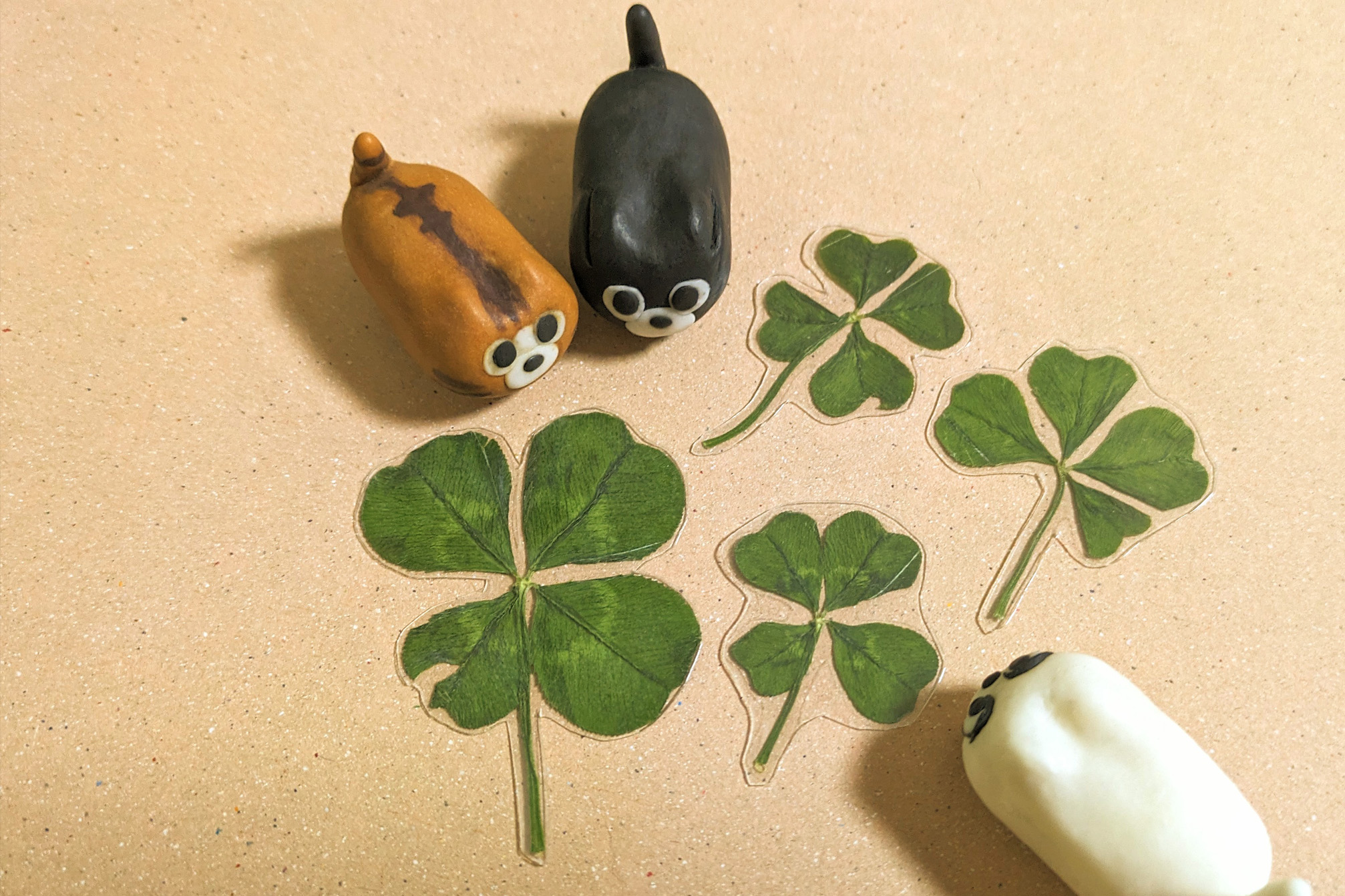 四葉のクローバーとBADCAT