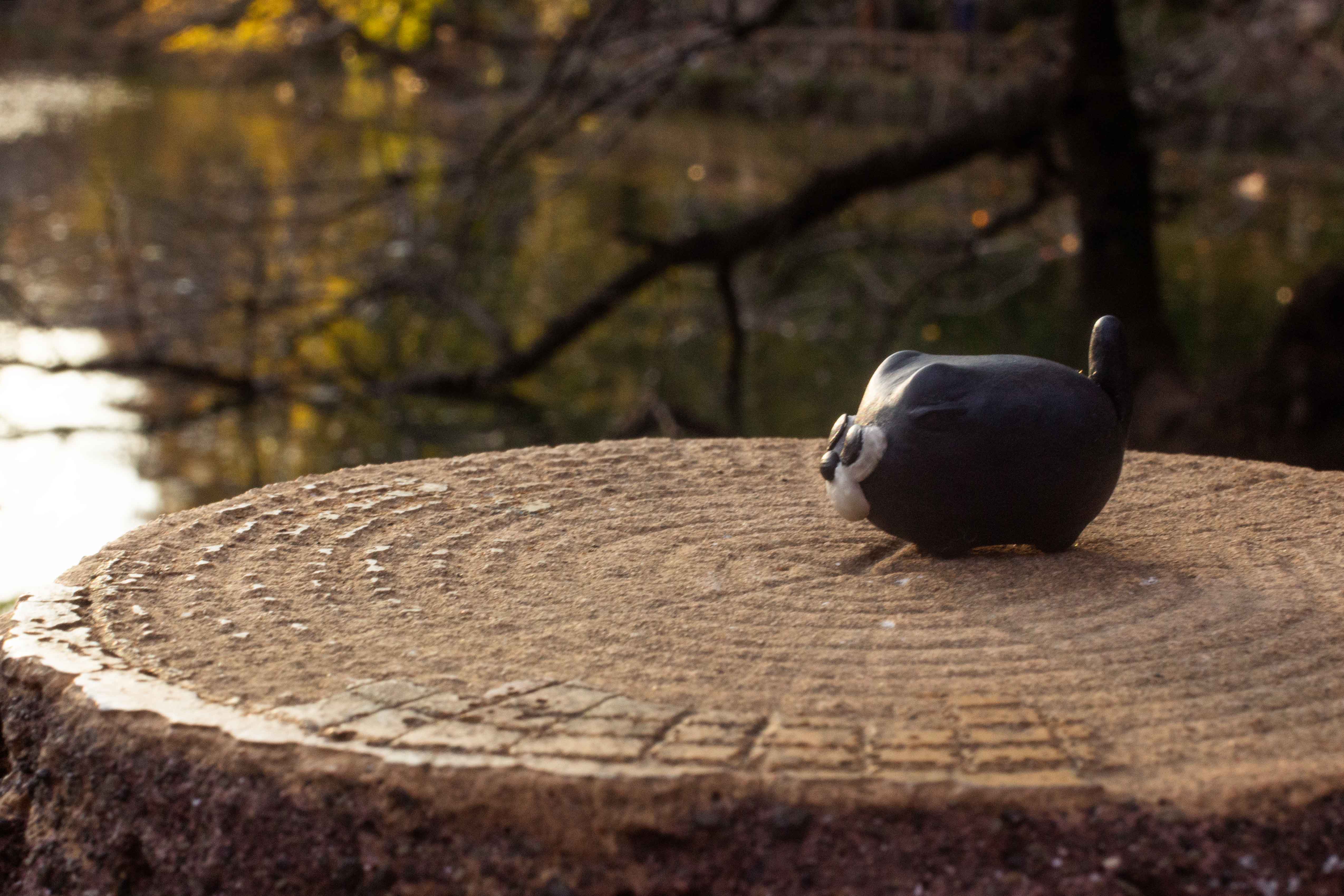 男の子っぽいバット