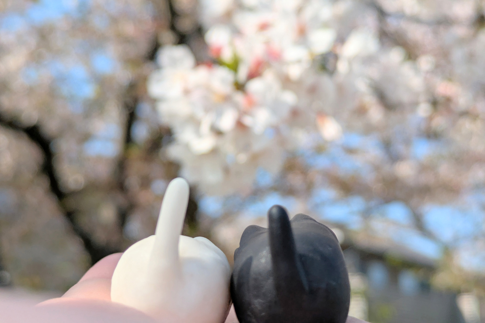 お花見をするバットとマリーの後ろ姿