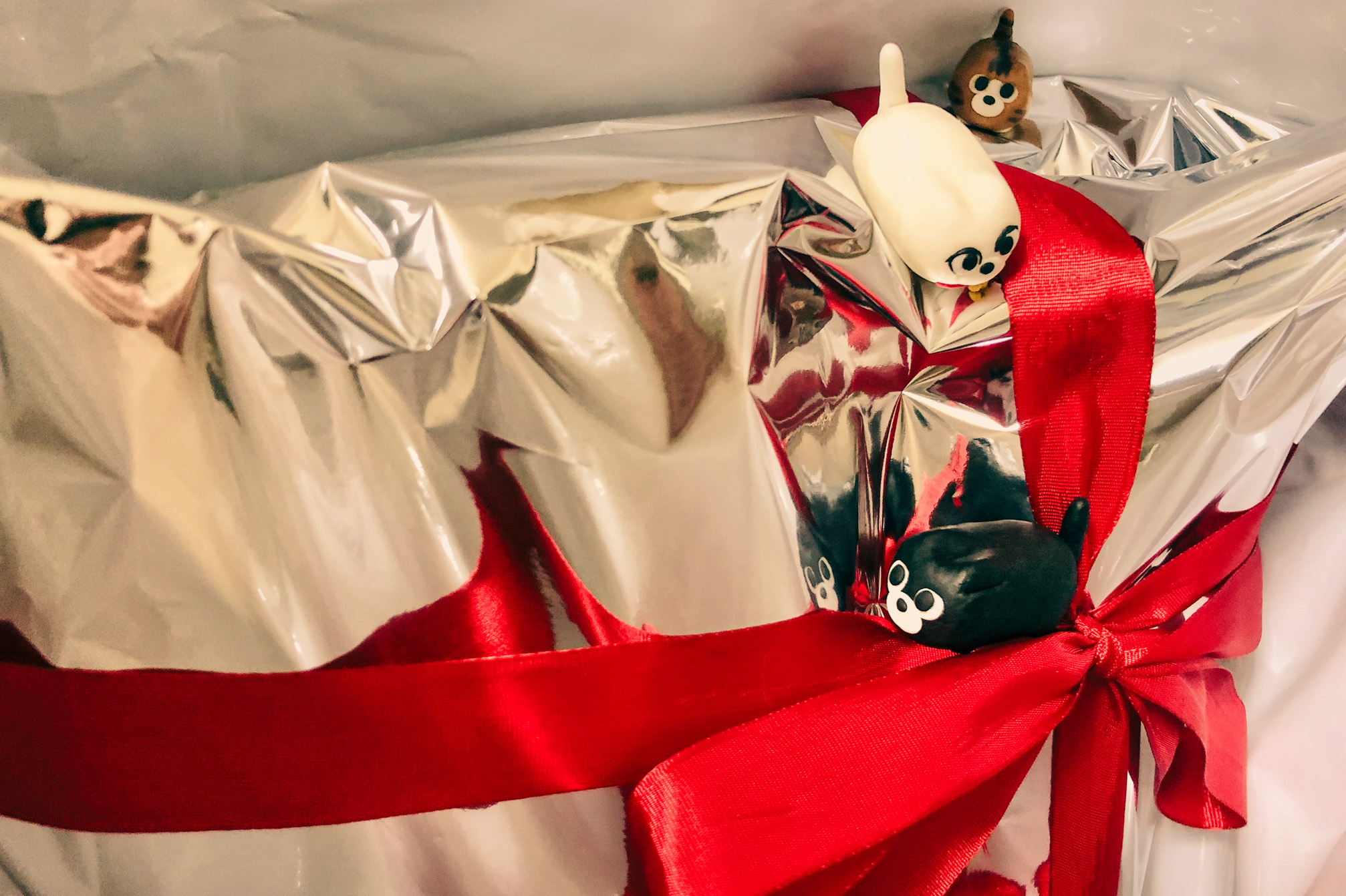 プレゼントを調べるBADCAT