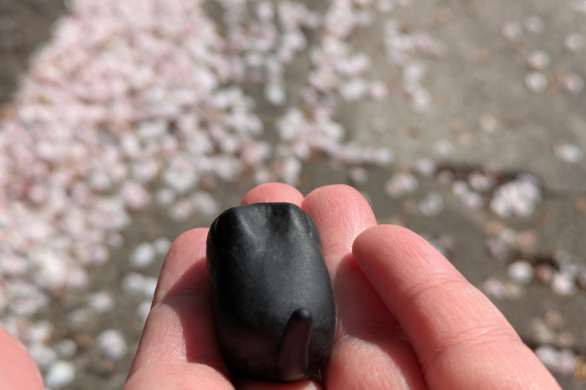 お花見の帰りに桜の川を見つけるバット