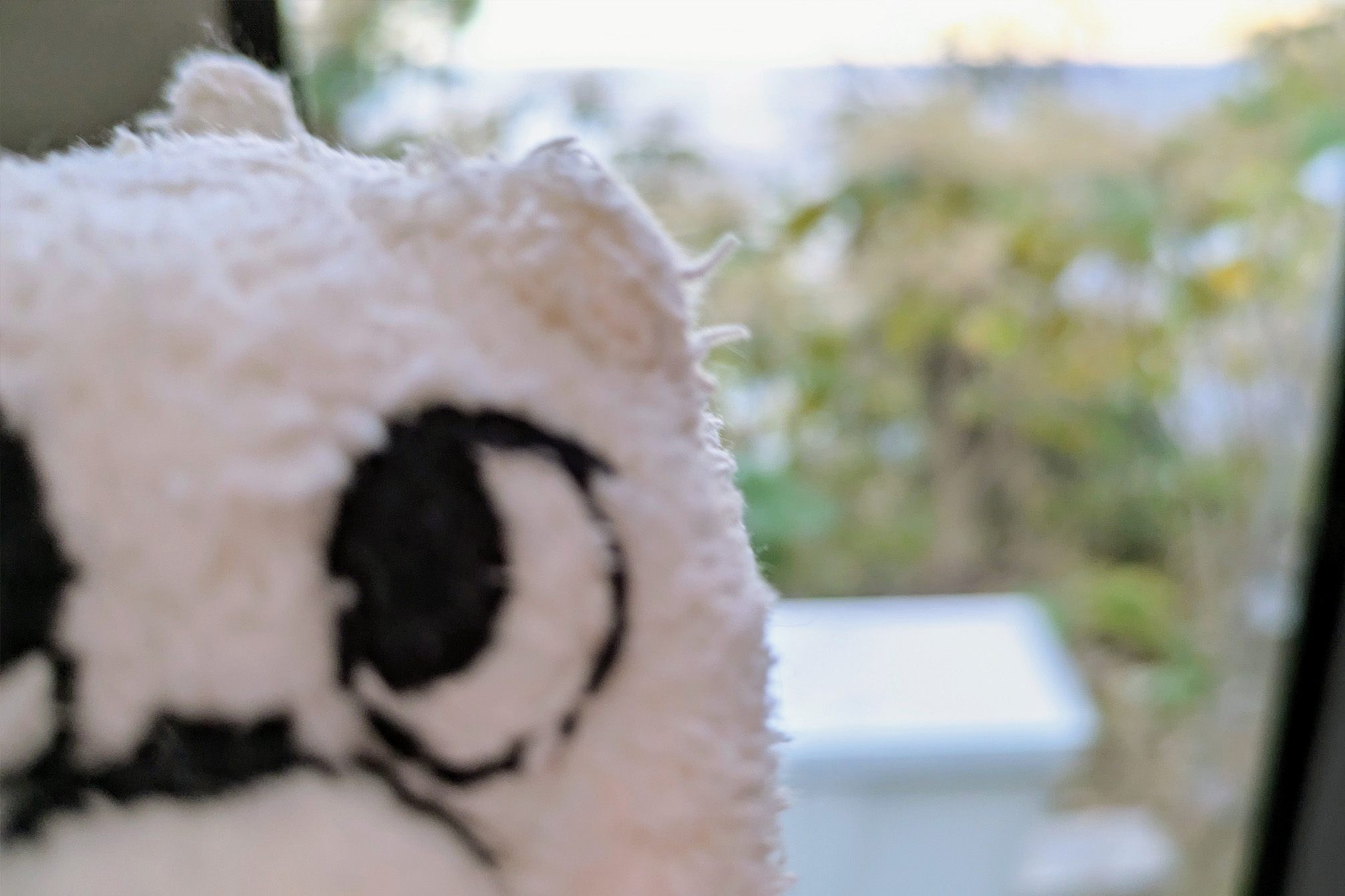 電車の窓を遮るマリー